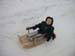 sleddieday