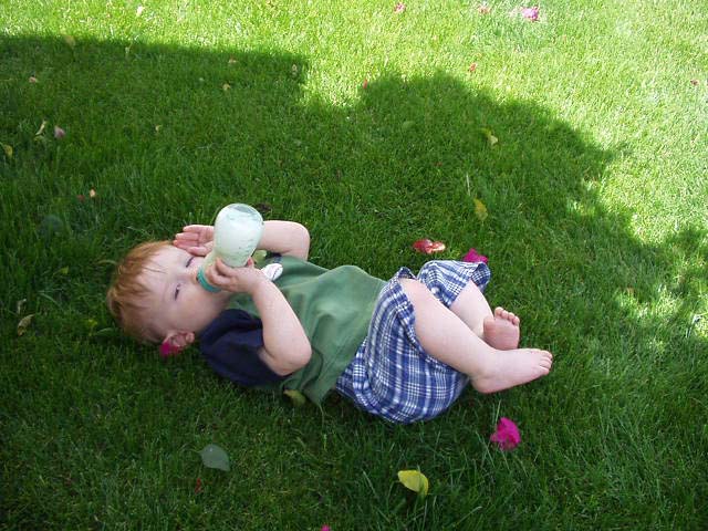 edbottlegrass
