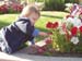 ed_az_flowers1